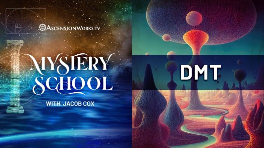 Mystery School Discussions about DMT