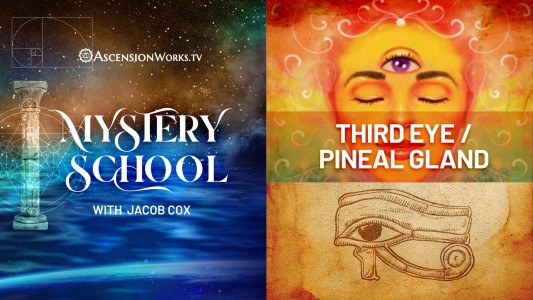Mystery School learn about the third eye pineal gland