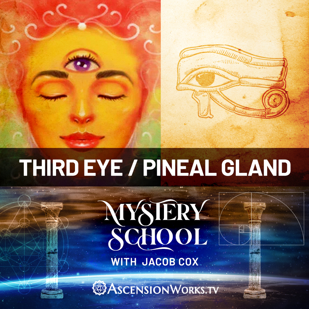 Mystery School: Third Eye/Pineal Gland