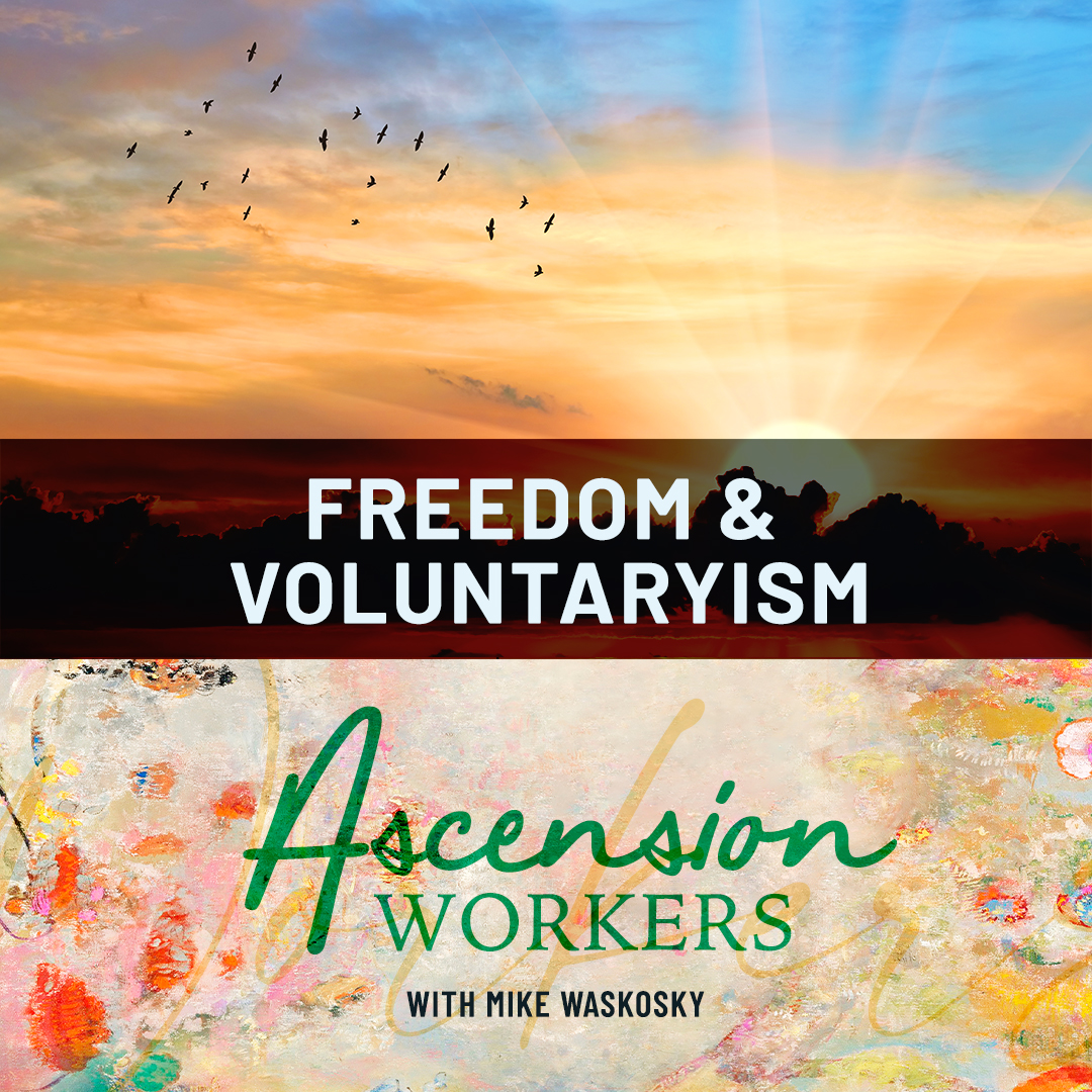 Ep6: Freedom & Voluntaryism with Chris Curran episode artwork