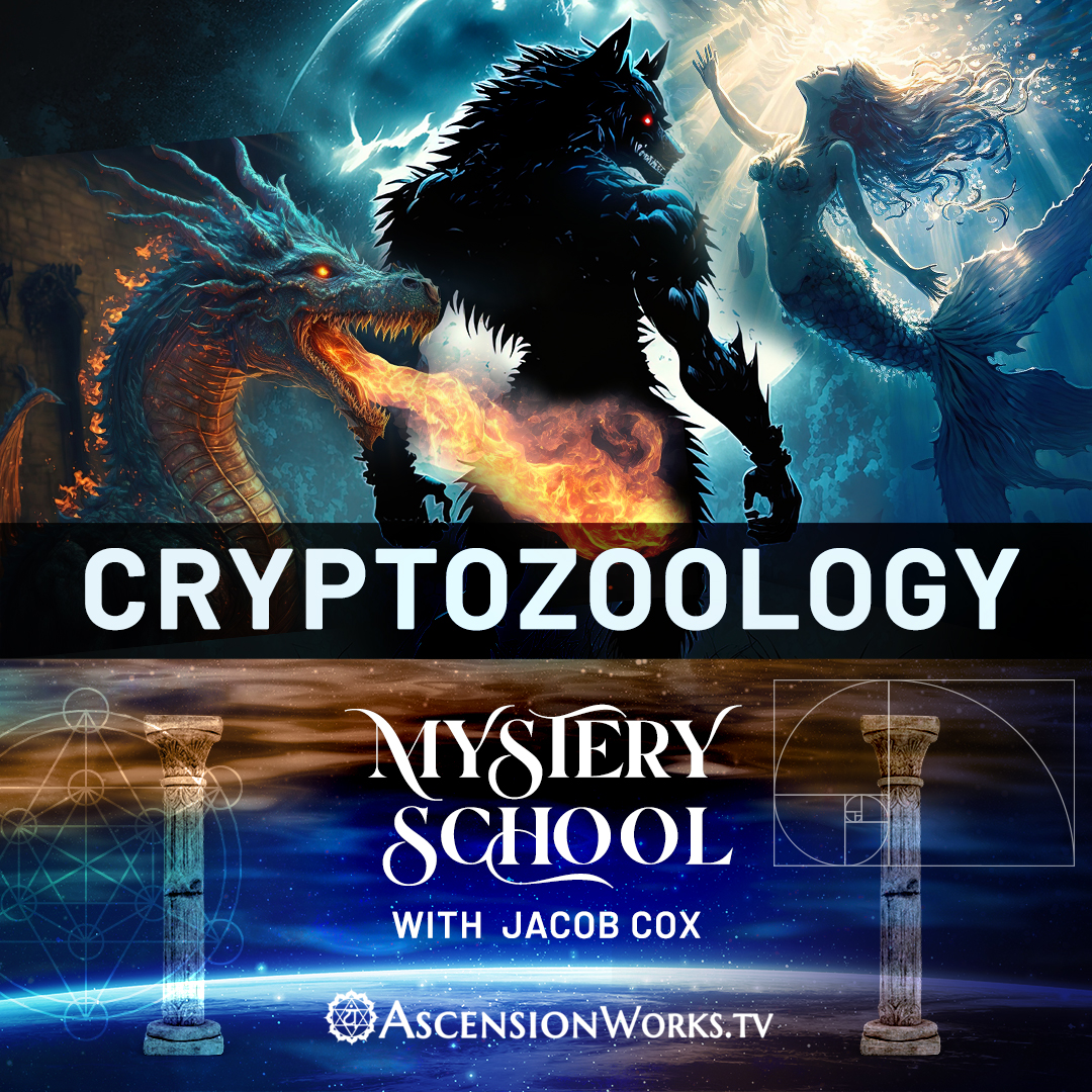 Mystery School: Cryptozoology episode artwork