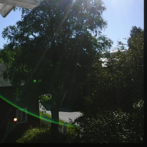 Profile photo of Nina S Grøtting