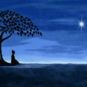 Profile photo of André Zschenker<span class="bp-verified-badge"></span>