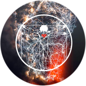 Profile photo of Electric You Are