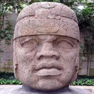 Profile photo of Vaughn Irving<span class="bp-verified-badge"></span>