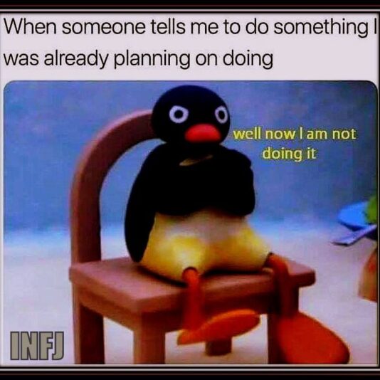 71938198_10218615248766541_6620124592755179520_n