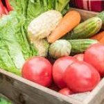 Group logo of SURVIVAL Gardens-Learning To Grow (Various Vids-Sites)